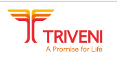 Triveni Group